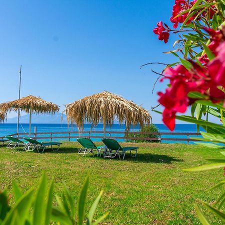 Baywatch Apartments On The Beach By "Elite" Amoudi Extérieur photo